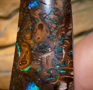 71.4cts - Tribal Koroit Nut Opal - Opal Whisperers