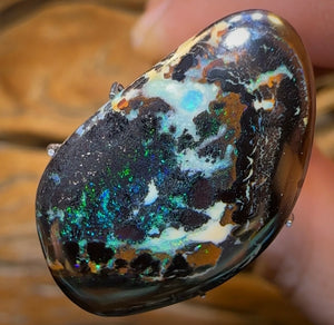 17.8cts - “Moss Kernel”Queensland Boulder Opal from Koroit