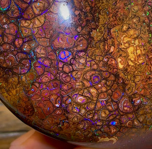 546.6cts - Huge Polished Tribal Yowah Nut Opal Specimen - Opal Whisperers