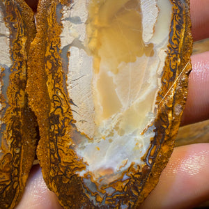 Aren’t you Glad you waited till the End Card! 254.8cts - RARE Yowah Nut Partial Crystal Centre Rough Specimen Pair
