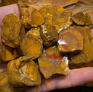 261.1g - 27x Yowah Nut Rough Opal Parcel. Queensland Boulder Opal 30c/ct Bargain - Opal Whisperers