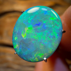 4.6cts - Lightning Ridge Opal Doublet