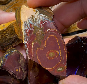 400.4g- 5x Large Queensland Boulder Opal Rough Pieces - Opal Whisperers