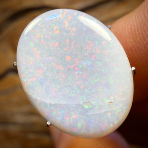 🔨 AUCTION 🔨 7.3cts - South Australian White Opal from Coober Pedy