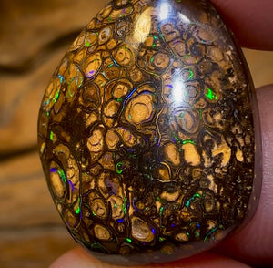 27.3cts - Queensland Boulder Opal. Top Pattern Yowah Tribal - Opal Whisperers