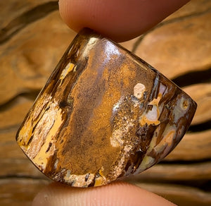 58.6cts - Australian Boulder Wood Fossil Opal Cathedral Type Pattern