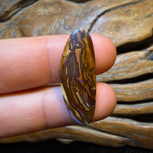 14.9cts - Yowah Nut Opal. Red Multicolour
