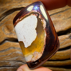 187.9cts - Yowah Nut Kernel Opal