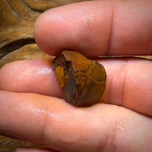 20.1cts - Wow! Partial Yowah Nut Crystal Centre Opal Rough Piece