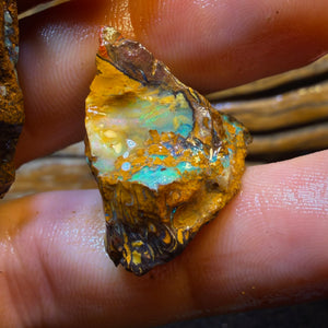 924cts - 8x Koroit Nut Tribal Opal Rough Parcel. Australian Boulder Opal