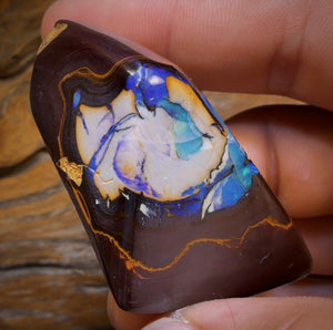 260.1cts - Yowah Nut Kernel Opal. Polished Specimen
