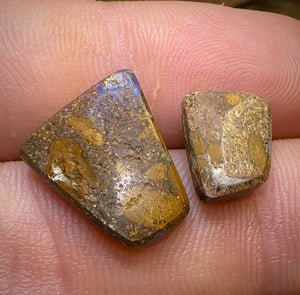 6.2cts - Boulder Pipe Crystal Opal Pair. Heritage Collection - Opal Whisperers