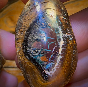 401.5cts - Yowah Nut Tribal Kernel Opal Specimen Pair