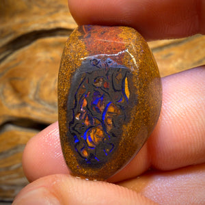 52.4cts - Stammes-Yowah-Nuss-Opal-Rohstein. Vorgestellt bei „OUTBACK OPAL HUNTERS“!!
