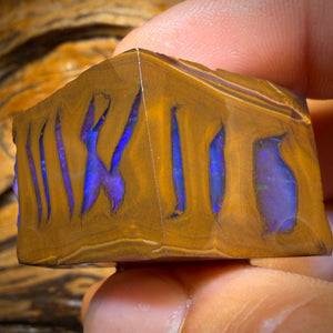 199.2cts - Queensland Boulder Opal Rough Preform from Duck Creek