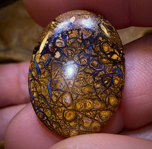 77.5cts - 3x Loose Queensland Boulder Opals. Wholesale Bargain Parcel