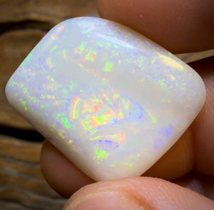 21.6cts - Olympic, South Australian White Opal