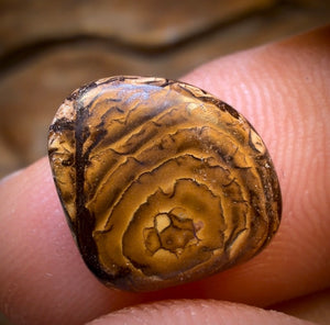 4.7cts - “Midnights Fire” Queensland Boulder Seam Opal