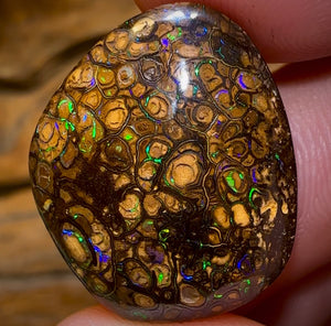 27.3cts - Queensland Boulder Opal. Top Pattern Yowah Tribal - Opal Whisperers