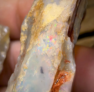 47.9cts - 2x Lightning Ridge Crystal and Dark Opal Fossil Rough Pieces - Opal Whisperers