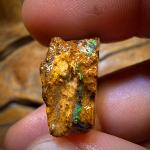 Wildcard! 38.4cts - Tribal Yowah Nut Opal Rough Piece