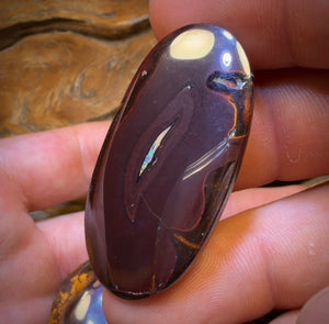 269.1cts - 3x Yowah Nut Opal’s. Wholesale Dealers Parcel