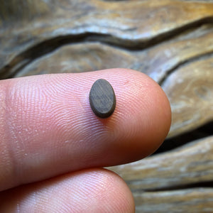 🔨 AUCTION 🔨 No Reserve 0.45cts - Australian Boulder Opal Doublet