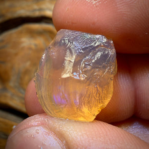 🔨 AUCTION 🔨 18.8cts - Opalised Shell Geological Specimen from South Australia. Pure Water Crystal