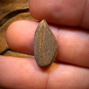 8.3cts - Queensland Boulder Seam Opal. Australian Opal Big Stone Bargain