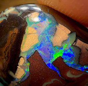 39cts - Queensland Boulder Opal Koroit Nut - Opal Whisperers