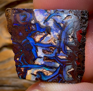 44.9cts - OMG Tribal Queensland Boulder Opal Rough Piece from Koroit