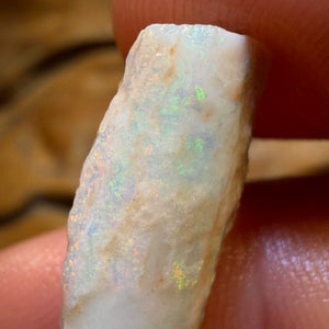 9.9cts - Opalised Belemnite Geological Specimen from South Australia