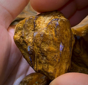 541.5cts - 7x Opalised Wood/Vegetation Fossil Rough Parcel from Yowah