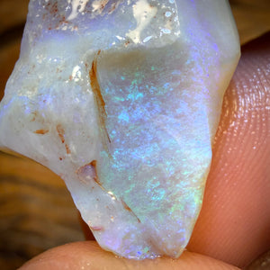 Wildcard! 19.3cts - Lightning Ridge Opal Rough Piece
