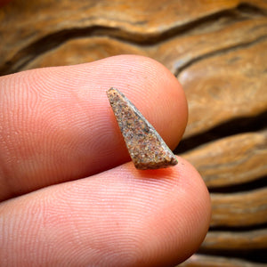 1.05cts - Solid Australian Boulder Pipe Opal