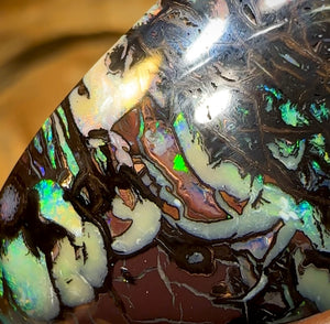 54.7cts - Queensland Boulder Black Opal from Koroit - Opal Whisperers