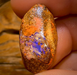 Bargain Card! 30.5cts - Boulder Pipe Opal Rough Piece. Australian Opal