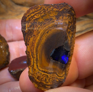 🔒126cts - 3x Yowah Nut Partial Crystal Centre Rough Specimen Parcel