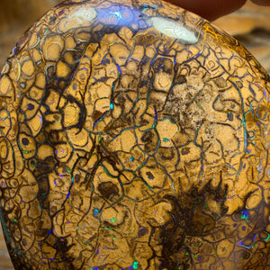 Wild Card! 289.4cts - Huge Tan Intricate Tribal Queensland Boulder Opal from Yowah