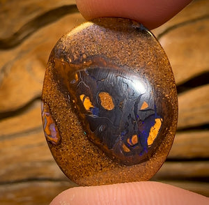34.5cts - Yowah Nut Kernel Opal. Australian Boulder Opal