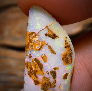 10.7cts - Yowah Nut Opal. Australian Opal