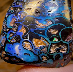 47.5cts - Top Tribal Koroit Nut Opal. Australian Opal