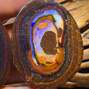 Opalfest Wildcard! 716.4cts - Rare Yowah Nut Crystal Centre Opal Specimen Pair. Polished