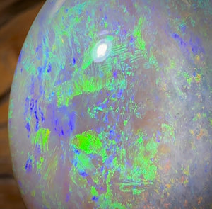 49.5cts - Large South Australian Crystal on Unique “Mother of Matrix” Multicolours!