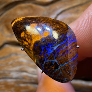 20.3cts - Queensland Boulder Opal from Yowah