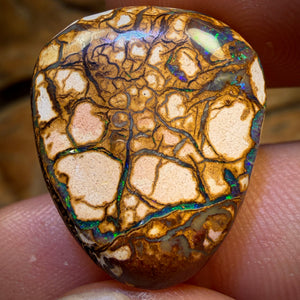 20.8cts - Yowah Nut Opal. White Porcelain Tribal Pattern