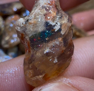 200.8cts - 29x Lightning Ridge Fossil Replacement Opal Rough Parcel Under $2/Ct - Opal Whisperers