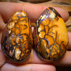 208.1cts - Tribal Queensland Boulder Opal Pair
