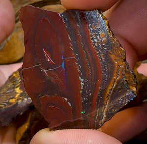 (Template) 233.8g- 7x Large Queensland Boulder Opal Rough Pieces - Opal Whisperers