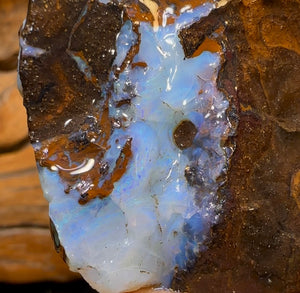 302.9cts - Queensland Boulder Seam Opal Rough Specimen - Opal Whisperers